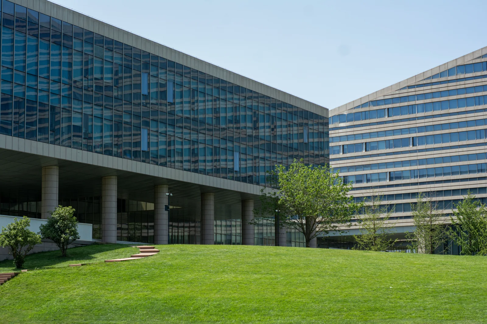 Glass-fronted office buildings overlooking a lawn and landscaped courtyard.